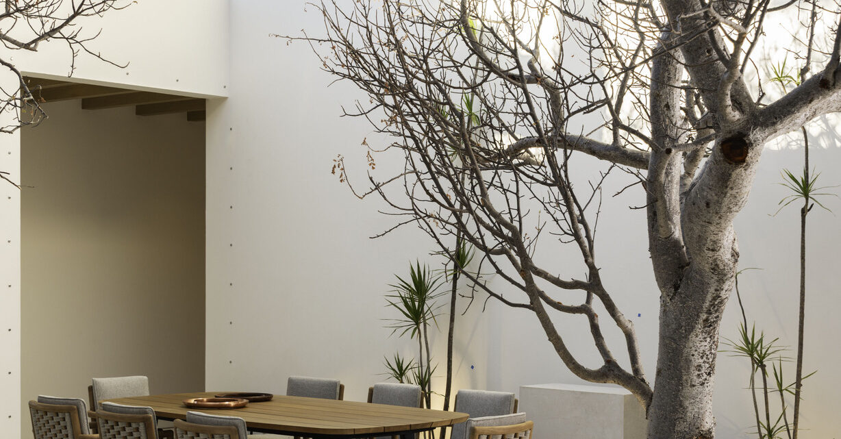 Ofelia_CSL__4S_50-51-2145